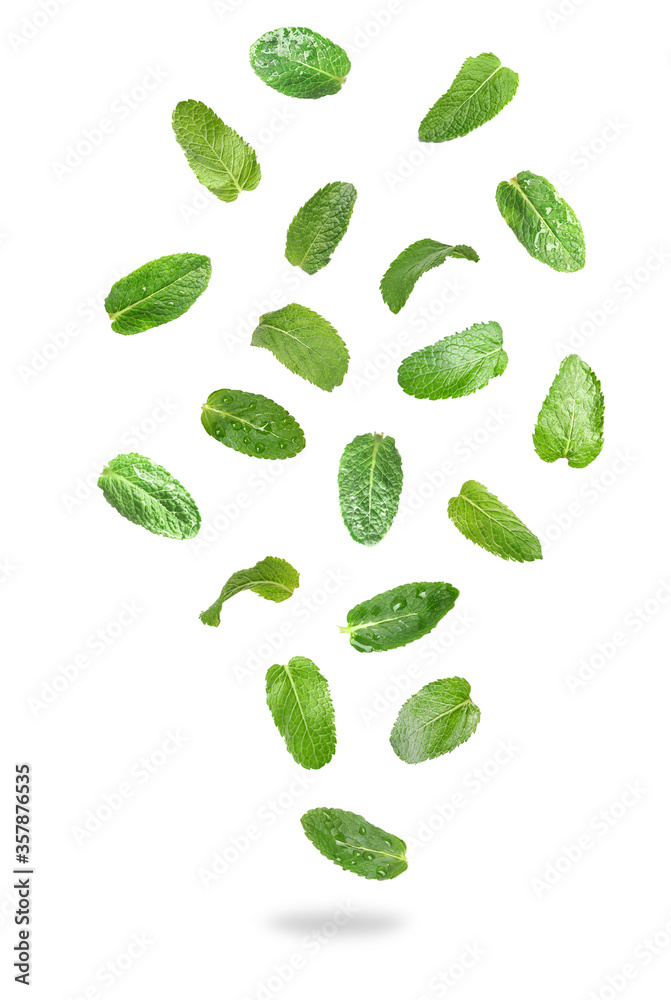 Set of flying green mint leaves on white background Set of flying green mint leaves on white background