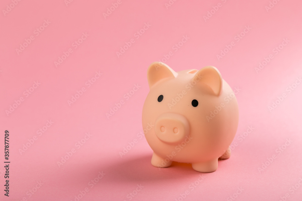 beautiful pink piggy bank on rose background.