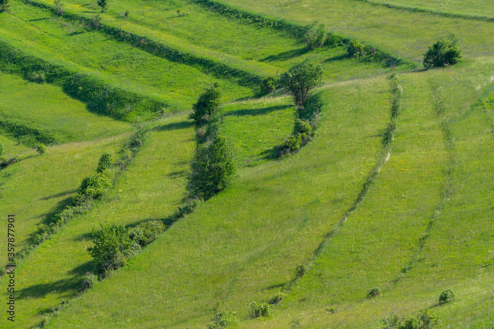 Curved, terraced green agricultural fields at summertime for background in Transylvania, Romania.