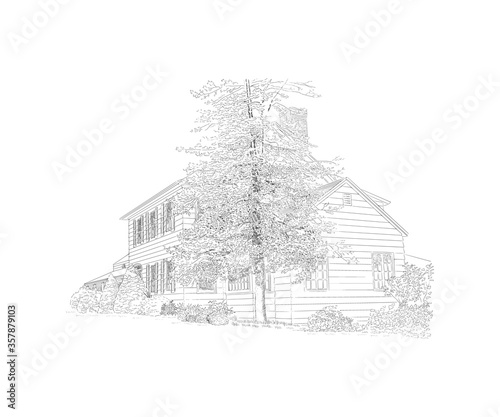 Vector illustration with style mansion, big tree in front of it, country estate. Historic building, location for your elegant countryside wedding. Black and white sketch, wedding venue, architecture.