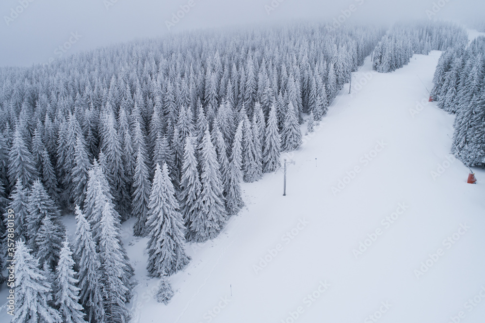 Aerial view of an empty ski slope by evergreen forest covered in snow