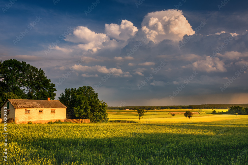 rural landscape with a farm