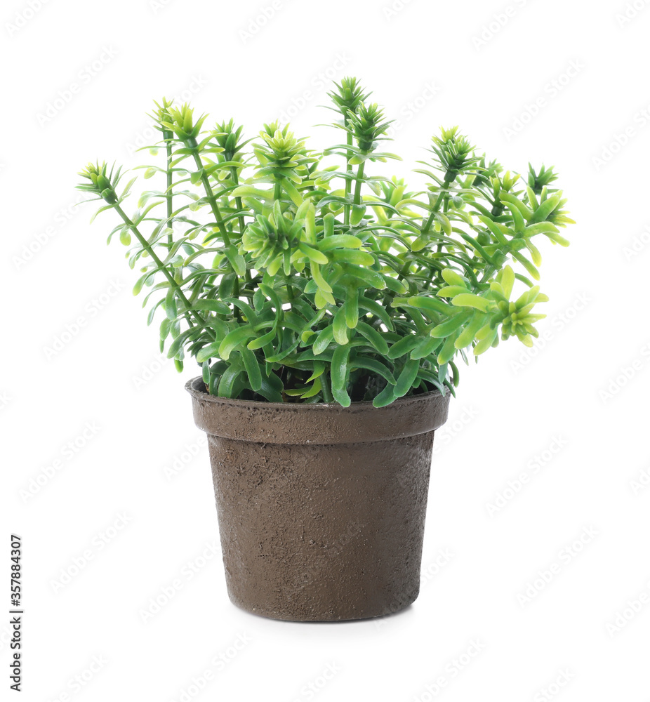 Beautiful artificial plant in flower pot isolated on white Beautiful artificial plant in flower pot isolated on white