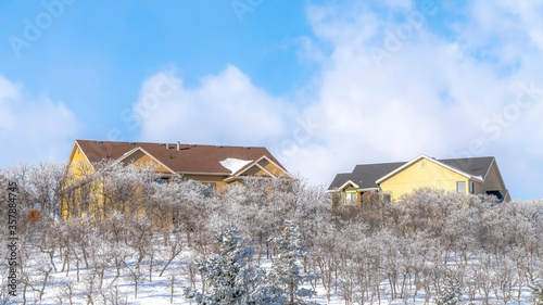 Panorama Pristine terrain of Wasatch Mountains with homes amidst fresh snow in winter