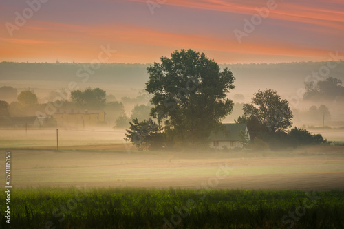 morning mist over the village