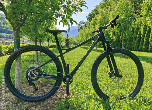 Cross country mountain bike at green trees and mountains background