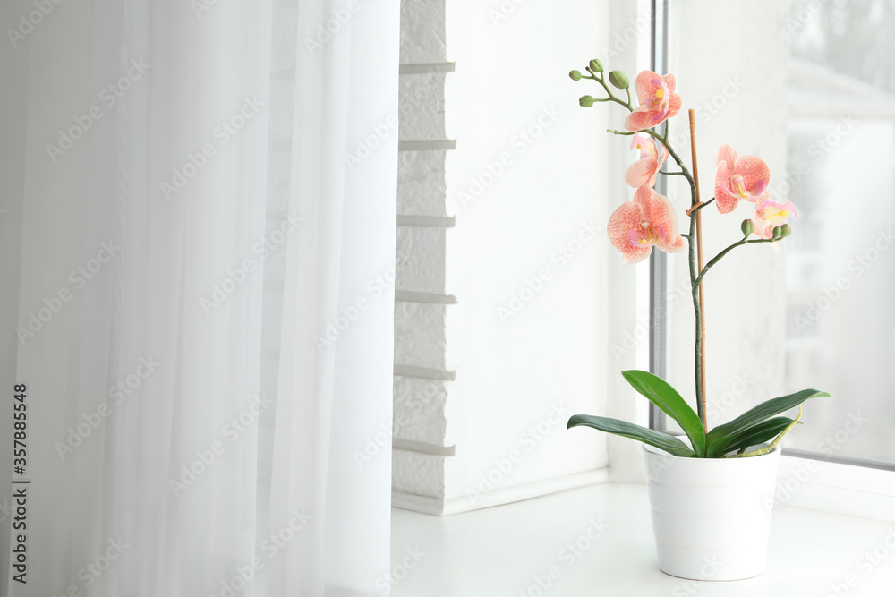 Beautiful artificial plant in flower pot on window sill. Space for text Beautiful artificial plant in flower pot on window sill. Space for text