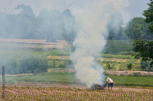 fire in the field