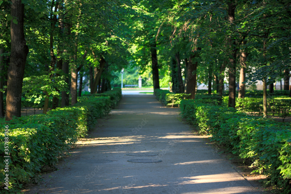 Alley in the park, The Royal Baths, Warsaw, Poland Alley in the park, The Royal Baths, Warsaw, Poland