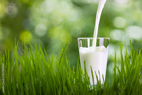 milk pouring into glass photo