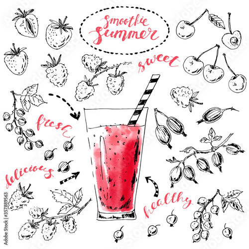 Hand drawn ink sketch of garden berries and smoothie glass with red watercolor stain