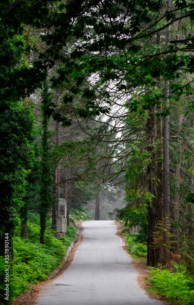 Fototapeta premium Welcome to Ermida a magical place in the woodlands of Geres National Park.