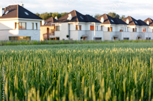 Wallpaper Mural Green fields in the suburbs of Warsaw, Poland Torontodigital.ca