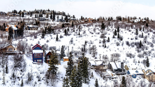 Panorama Hill top with family homes and abundant trees against overcast sky in winter