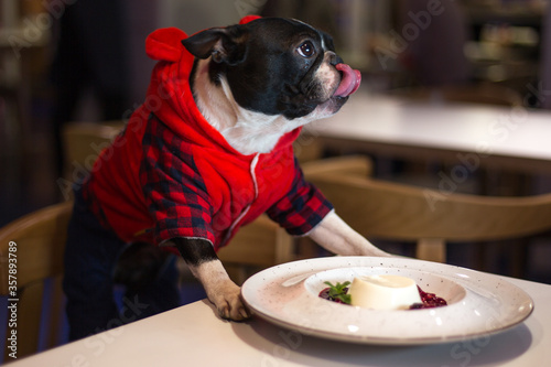 Boston and food