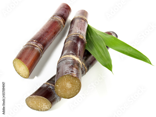 Sugar Cane with Leaves isolated on white Background