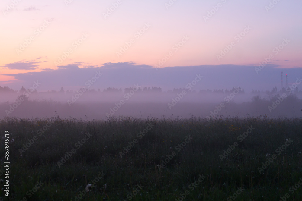Purple sunset over the field and dense fog over the grass Purple sunset over the field and dense fog over the grass
