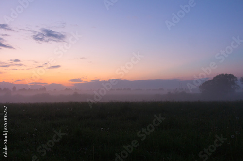 Purple sunset over the field and dense fog over the grass