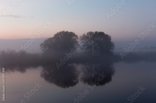 Two trees by the river in the fog at sunset.