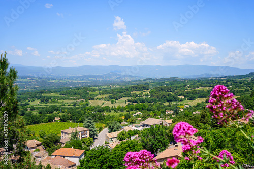 Vue panoramique sur la vall  e Luberon  en Provence  France au Printemps. Fleurs de val  riane rouge au premier plan. Ciel bleu avec de beaux nuages. 