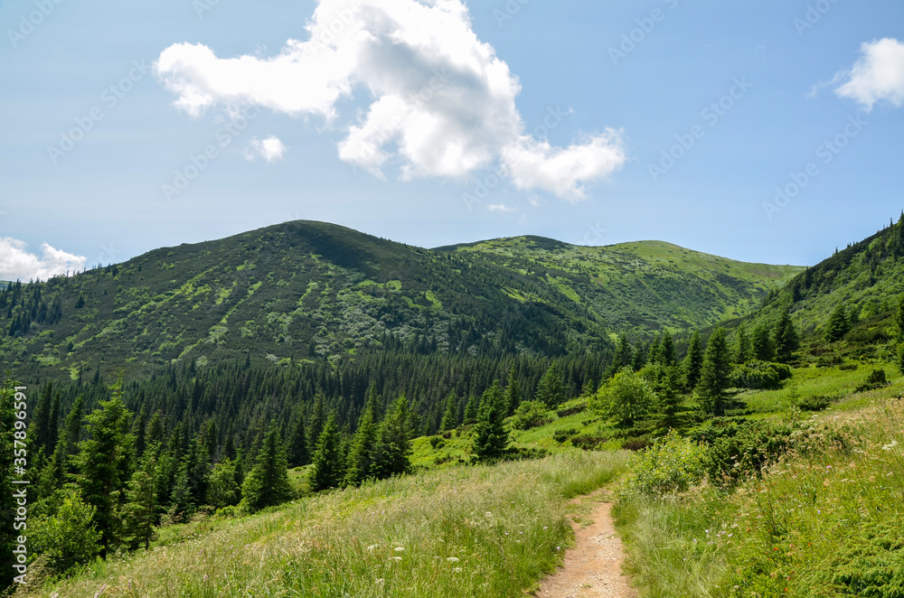 Scenic skyscape with blue sky full of windy clouds, and beautiful green mountains. Carpathians, Ukraine. Natural landscape