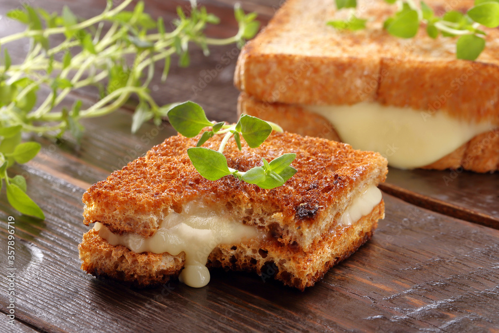 Fresh sandwich with cheese and herbs with empty space for text. Fresh sandwich with cheese and herbs with empty space for text.