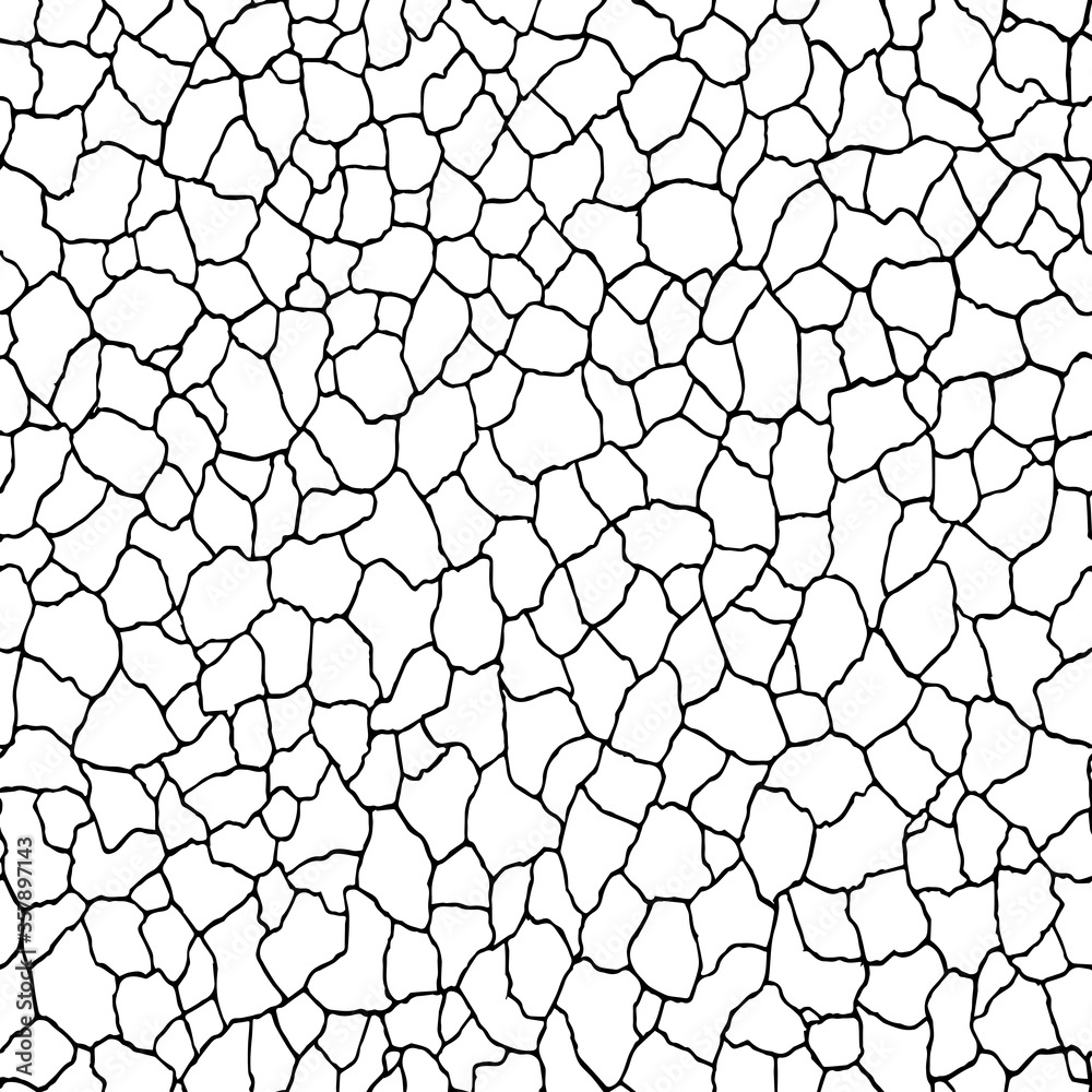 Seamless pattern.The cracks texture white and black. Vector background. For design and decorate path, wall, backdrop. Broken glass Seamless pattern.The cracks texture white and black. Vector background. For design and decorate path, wall, backdrop. Broken glass