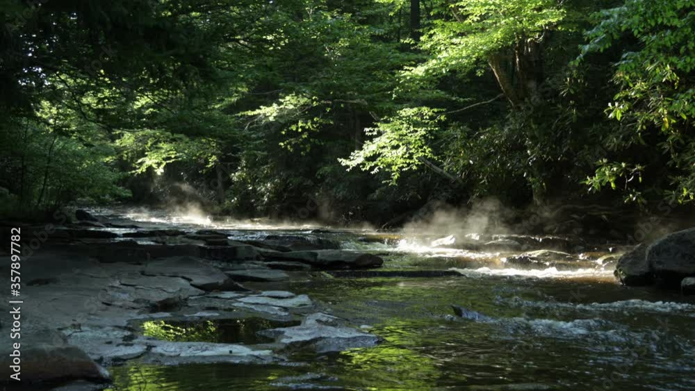 Morning mist rises off of Red Creek in the Dolly Sods Wilderness, part of the Monongahela National Forest in West Virginia. Morning mist rises off of Red Creek in the Dolly Sods Wilderness, part of the Monongahela National Forest in West Virginia.