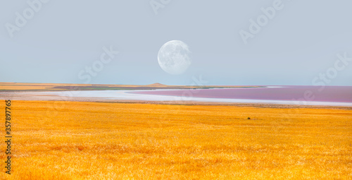 Fototapeta Naklejka Na Ścianę i Meble -  View of water on pink salt lake in the foreground golden wheat field with full moon 