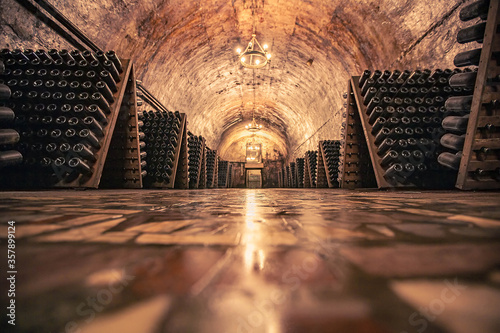 Champagne facory storehouse in the cellar photo