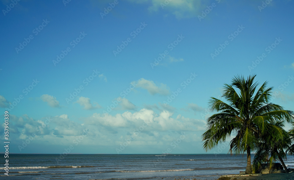 Obraz premium tropical beach with palm trees