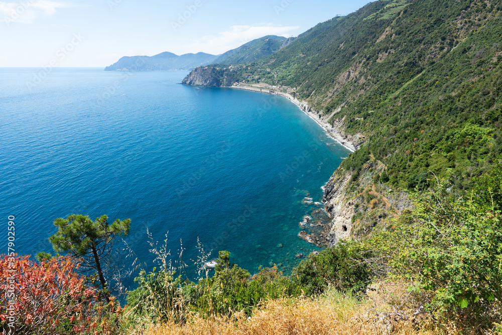 Manarola (Cinque terre) - scenic panorama Ligurian coast, Italy