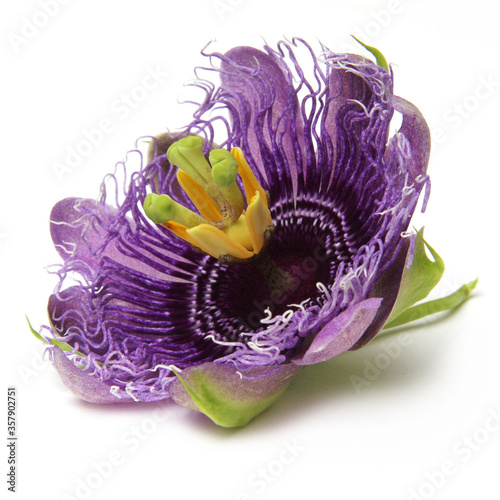 purple passionflower
