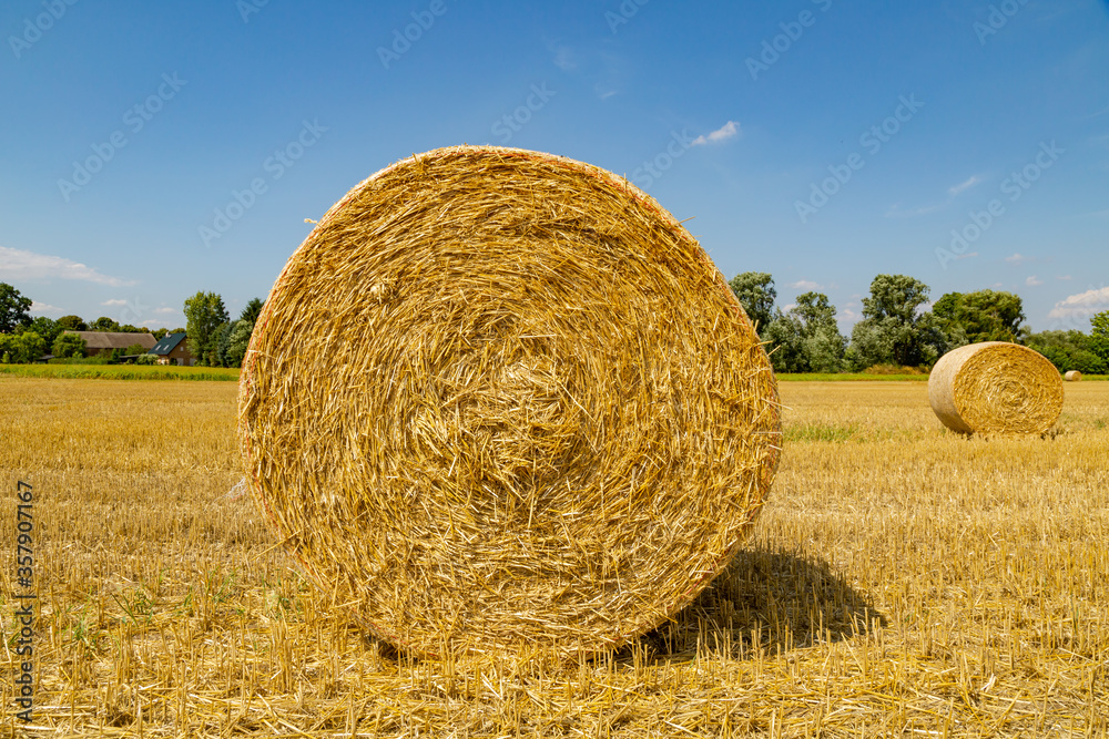 ein Feld mit vielen Strohballen, bei blauem Himmel ein Feld mit vielen Strohballen, bei blauem Himmel