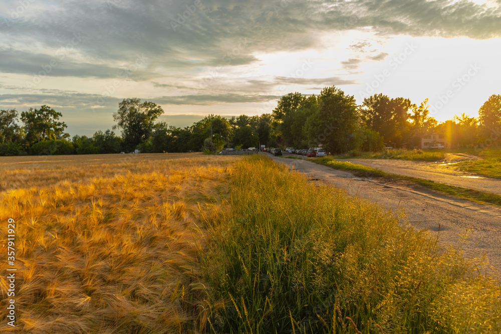 Naklejka premium Sunset over road and field