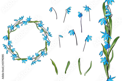Vector floral set of blue flowers. Primrose and leaves isolated on white background. Round frame. Endless seamless vertical border. Hand drawn. Floral elements for your design.