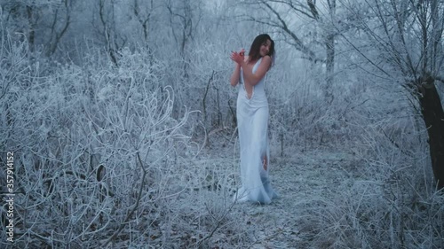 Young beautiful woman princess walks in winter fairytale frosty forest. Naked sexy back. White long vintage fashion dress. Brunette girl nymph gently touch their hand on tree1. High quality 4k footage photo