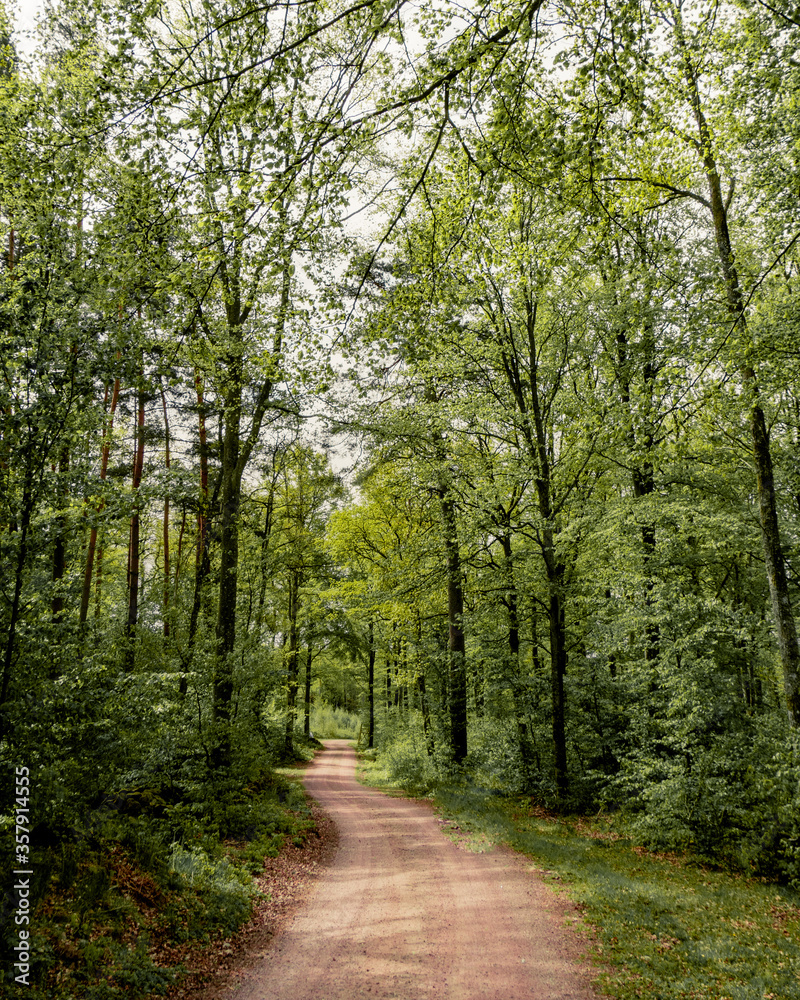 Obraz premium summer times