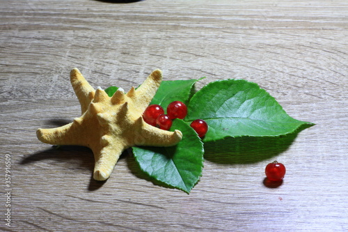 Texture with red berries with Starfish