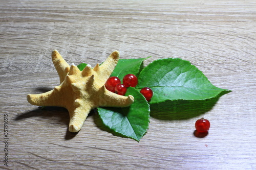 Texture with red berries with Starfish
