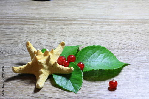 Texture with red berries with Starfish