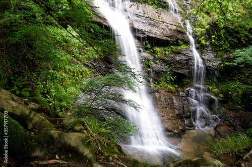 waterfall in the woods