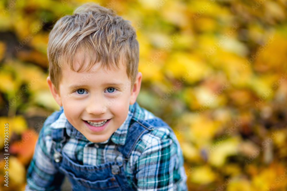 Portrait of a fashionable boy in a green checked shirt in the open air against a background of yellow leaves. Cute boy walking in the autumn Park. Space for text. Portrait of a fashionable boy in a green checked shirt in the open air against a background of yellow leaves. Cute boy walking in the autumn Park. Space for text.