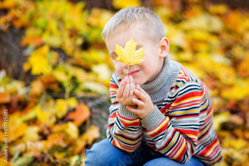 Portrait of a fashionable boy in the open air against a background of yellow leaves. Cute boy walking in the autumn Park. The child covers his eyes with a yellow maple leaf.