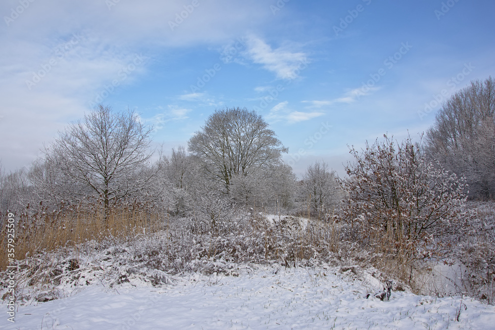 bourgoyen nature reserve i the snow, Ghent, Flanders, Belgium bourgoyen nature reserve i the snow, Ghent, Flanders, Belgium