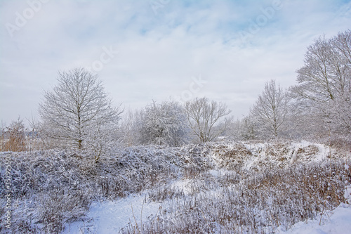 bourgoyen nature reserve i the snow, Ghent, Flanders, Belgium