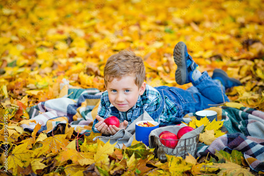 A smiling boy lies on a blanket with an Apple in his hands in the autumn Park. There are a lot of yellow maple leaves around. Picnic in nature in autumn.