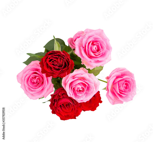  beautiful flower roses Save with clipping path. 