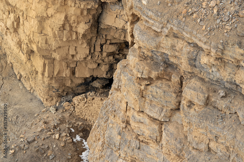 Snow leopards mating pair near a cave at Kibber, Spiti valley of Himachal Pradesh, India