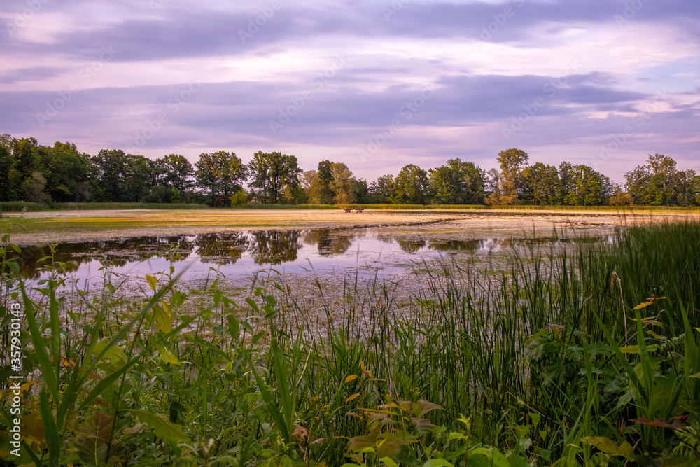 Foto de Biosphärenreservat Oberlausitzer Heide und Teichlandschaft